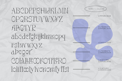 Meler | Modern Ligature Serif