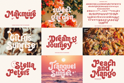 The Hype Summer Groove Font Bundle