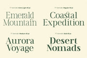 TT Vermolin — Modern Classy Serif