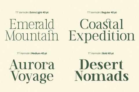 TT Vermolin — Modern Classy Serif