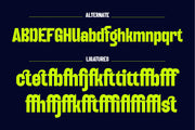 Boldy Grotesque | Modern Display Font