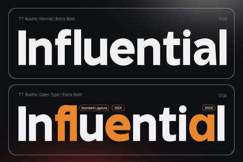 TT Rustic Grotesque Sans