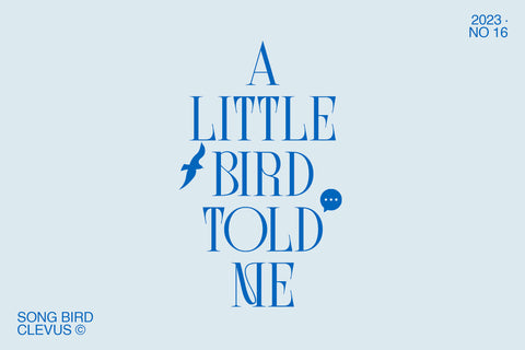Song Bird | Modern serif