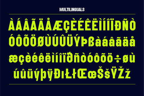 Boldy Grotesque | Modern Display Font