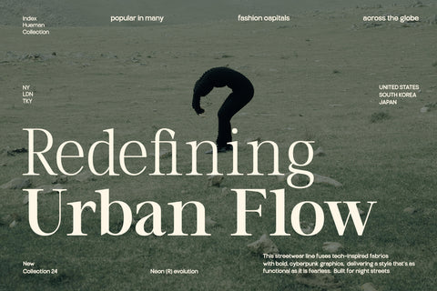 TT Vermolin — Modern Classy Serif