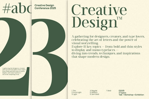 TT Vermolin — Modern Classy Serif