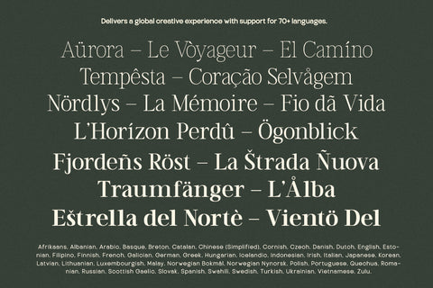 TT Vermolin — Modern Classy Serif