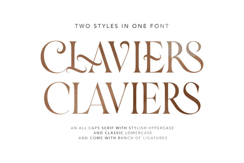 Claviers - Two Styles Serif - Pixel Surplus