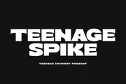 Teenage Spike - Sans Serif Font