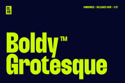 Boldy Grotesque | Modern Display Font - Pixel Surplus