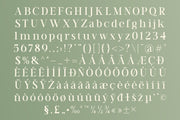 TT Vermolin — Modern Classy Serif