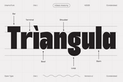TT Unamo - Sans Display Condensed