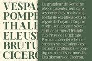 TT Vermolin — Modern Classy Serif