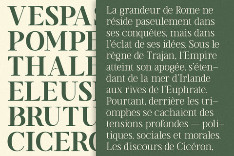 TT Vermolin — Modern Classy Serif