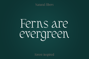 Fernhead Decorative Serif Font