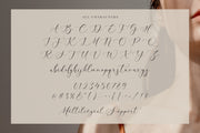 Hilberta Austine – Modern Script Font