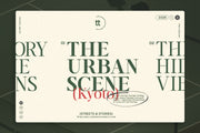 TT Vermolin — Modern Classy Serif