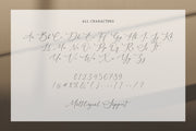 Courtney Martines - Elegant Script Font