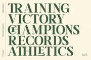 TT Vermolin — Modern Classy Serif