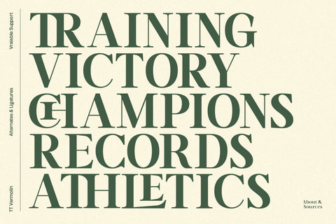 TT Vermolin — Modern Classy Serif