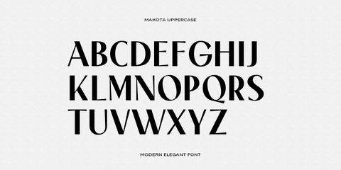 Makota Modern Font - Pixel Surplus