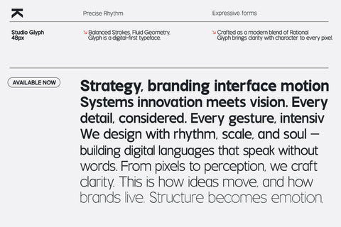TT Rustic Grotesque Sans