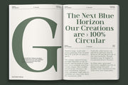 TT Vermolin — Modern Classy Serif