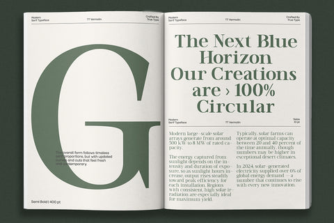 TT Vermolin — Modern Classy Serif