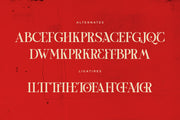 TBJ One of a kind | Serif font