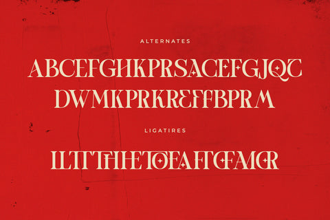 TBJ One of a kind | Serif font