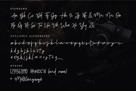 Shutter Stone – Signature Script