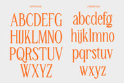 TBJ Malta 9-Font Family