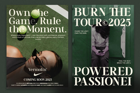 TT Vermolin — Modern Classy Serif