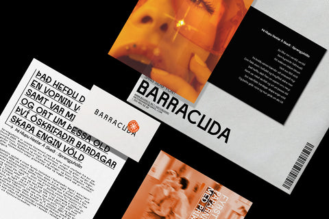 Barracuda - Free Sans Serif Typeface