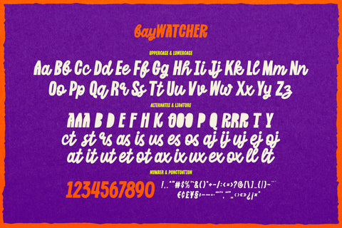 Bay Watcher - Summer Holiday Font