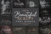 Beautiful Script Font Bundle Vol 1
