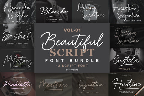Beautiful Script Font Bundle Vol 1