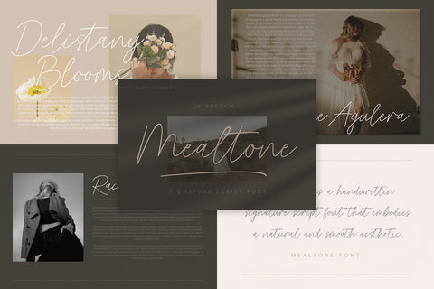 Beautiful Script Font Bundle Vol 1