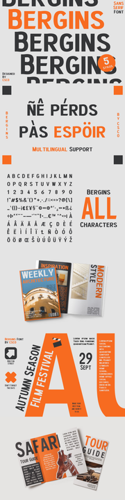 The Diverse Sans Serif Collection