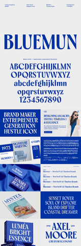 The Striking Serif Font Collection