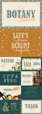 The Farmers Market Font Bundle