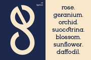 Brenzo - Slab Serif