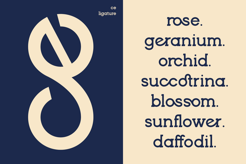 Brenzo - Slab Serif