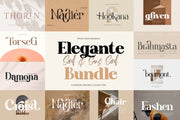 Modern Serif & Sans Serif Bundle