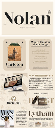 The Striking Serif Font Collection