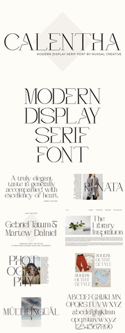 The Unique Serif Font Bundle