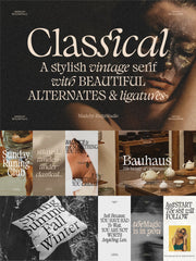 The Striking Serif Font Collection