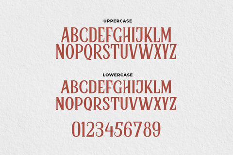 Bidon - Serif Vintage Font