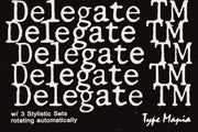 Delegate TM