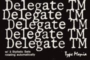 50 TYPE MANIA FONTS // 50% OFF!